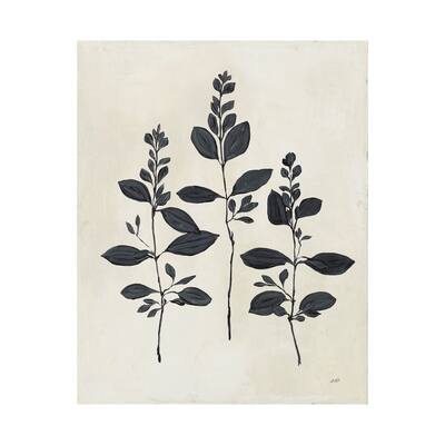 Botanical Study IV (40 x 50) Canvas Art Print