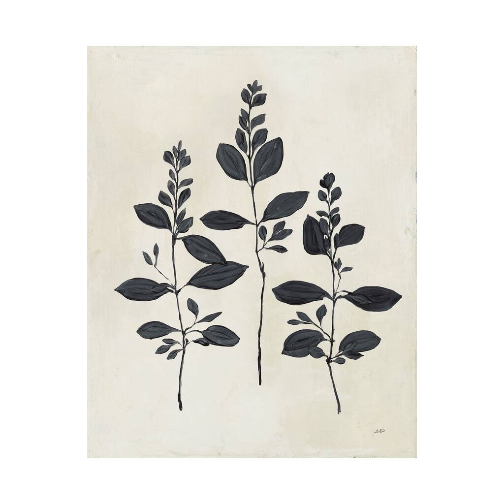 Botanical Study IV (40 x 50) Canvas Art Print