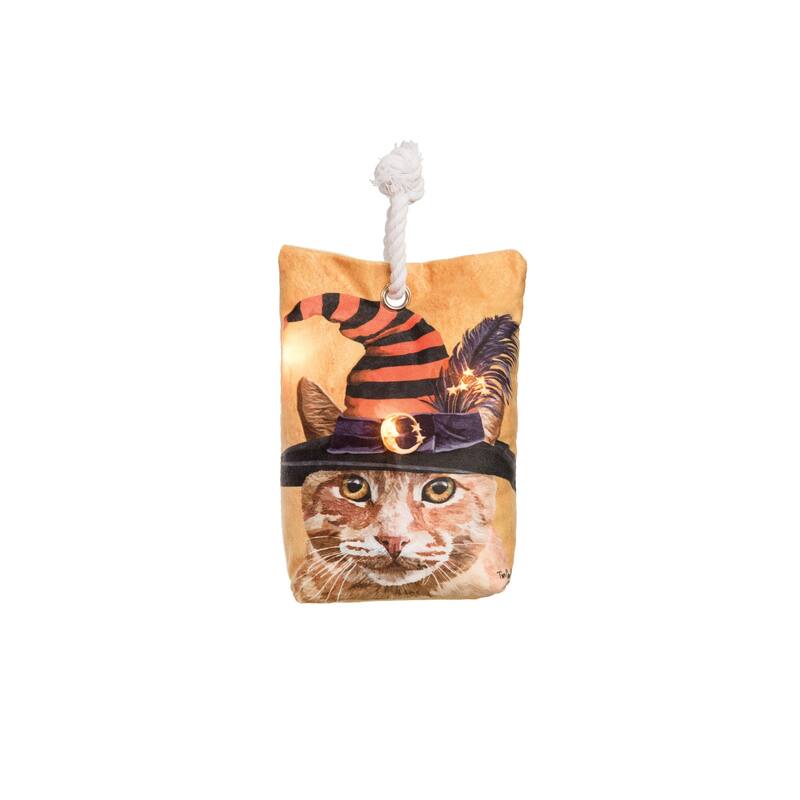 Witch Cat-Chunk Light-Up LED Doorstop
