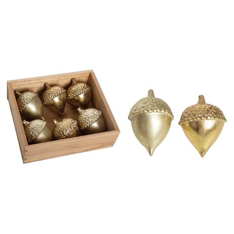 Transpac Resin 5.75 in. Gold Harvest in Acorn with Display Set of 6