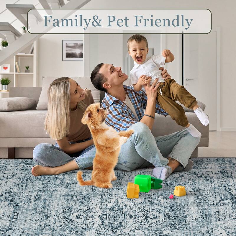 Area Rugs for Living Room Carpets Boho Washable Large Rugs for Bedroom