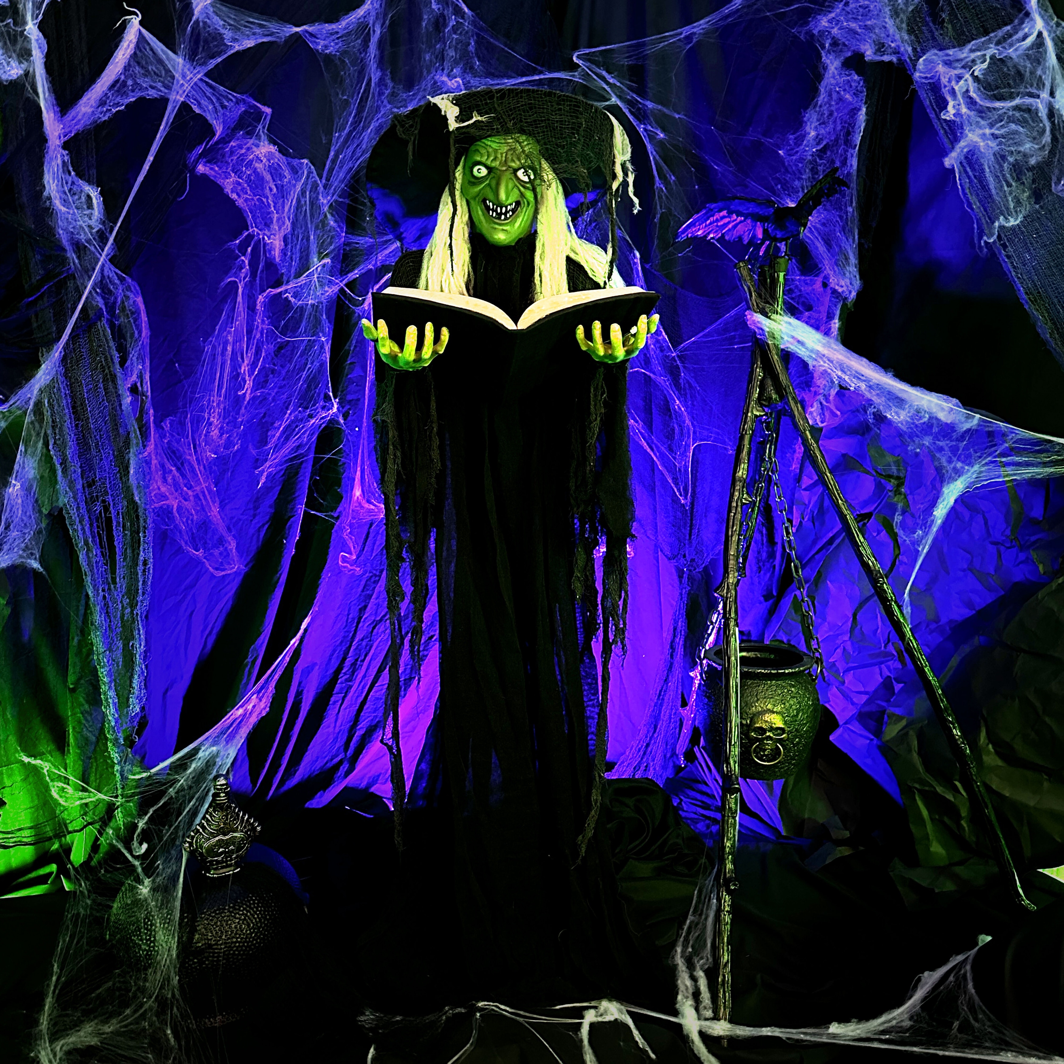 Haunted Hill Farm Lifesize 5.8-Ft. Poseable Witch with Spell Book, Lights and Sound, Indoor/Covered Outdoor Halloween Decoration