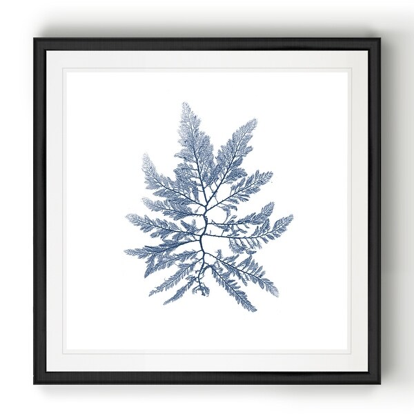 Navy Seaweed II -Black Framed Print. Opens flyout.