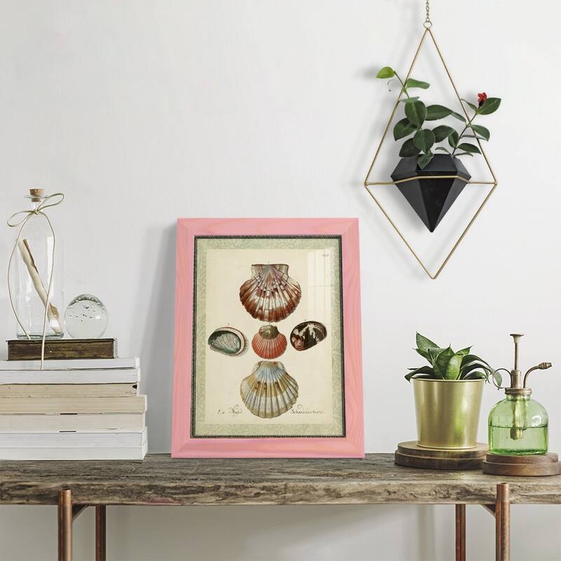 Bookplate Shells III -Framed Print w/glass-Cherry Red