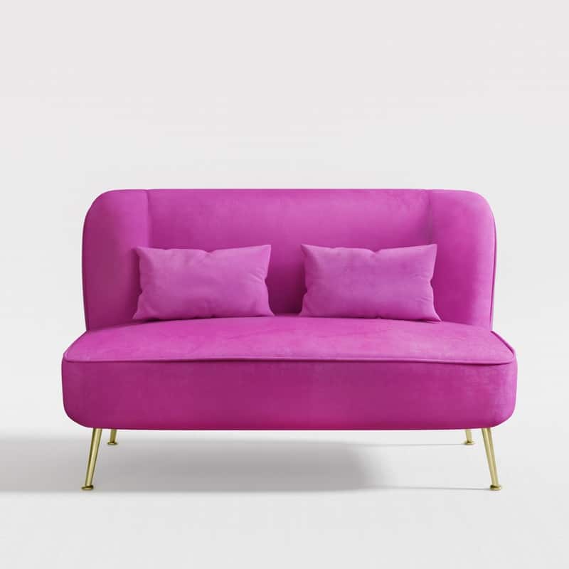Two Pillows Velvet Upholstered Metal Loveseat
