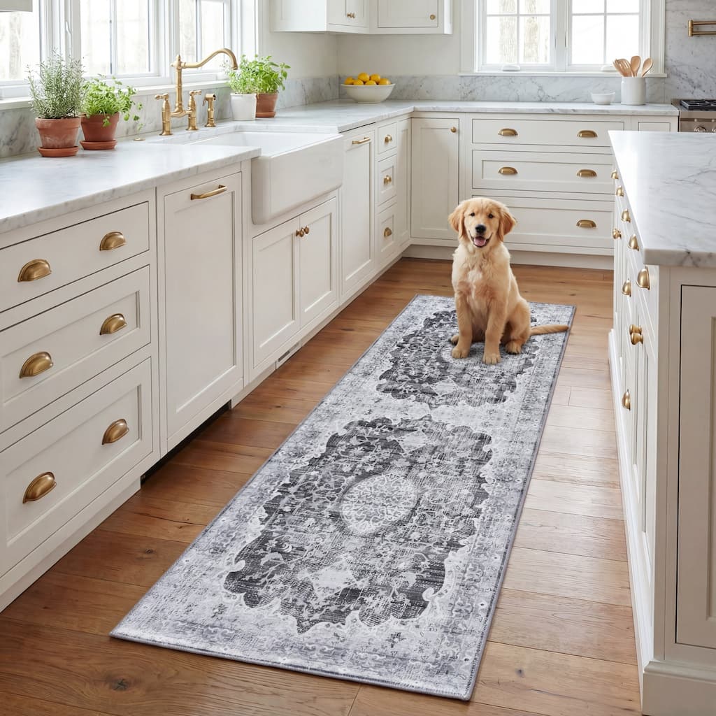 SAFAVIEH Tucson Floor Transitional Rug