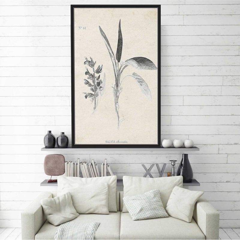 "Latin Botanicals II" Print on Floating Canvas