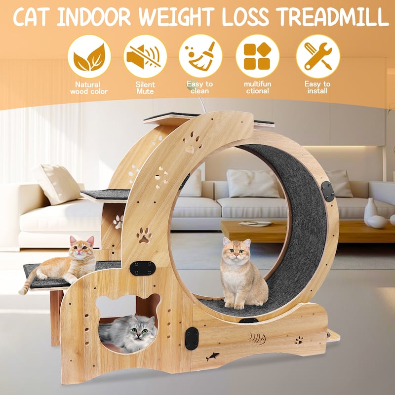 Engaging 4 in 1 Cat Exercise Wheel for Fitness and Entertainment