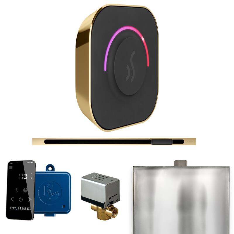 Mr Steam BTL Butler Touch Linear Package Steam Shower Control Package - Polished Brass