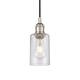 Option Polished Nickel / Seedy