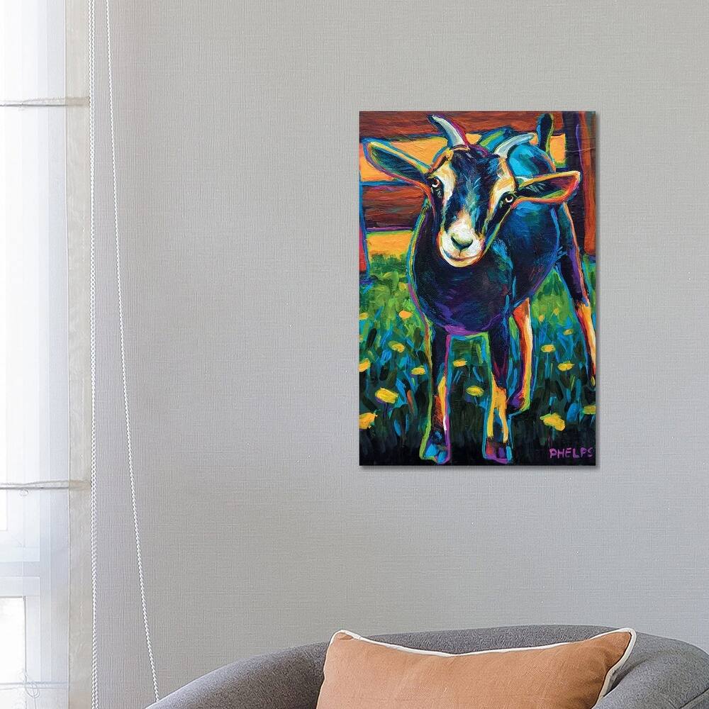 iCanvas "Black Goat" by Robert Phelps Canvas Print