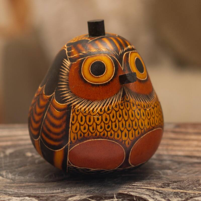 Novica Handmade Owls Wisdom Dried Mate Gourd Decorative Box