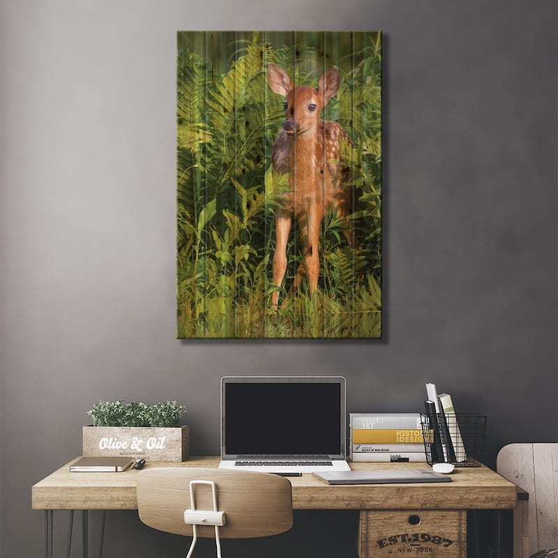 White-Tailed Deer Fawn Standing In Ferns, USA, Minnesota, Minnesota Wildlife Connection. Print On Wood by Jaynes Gallery