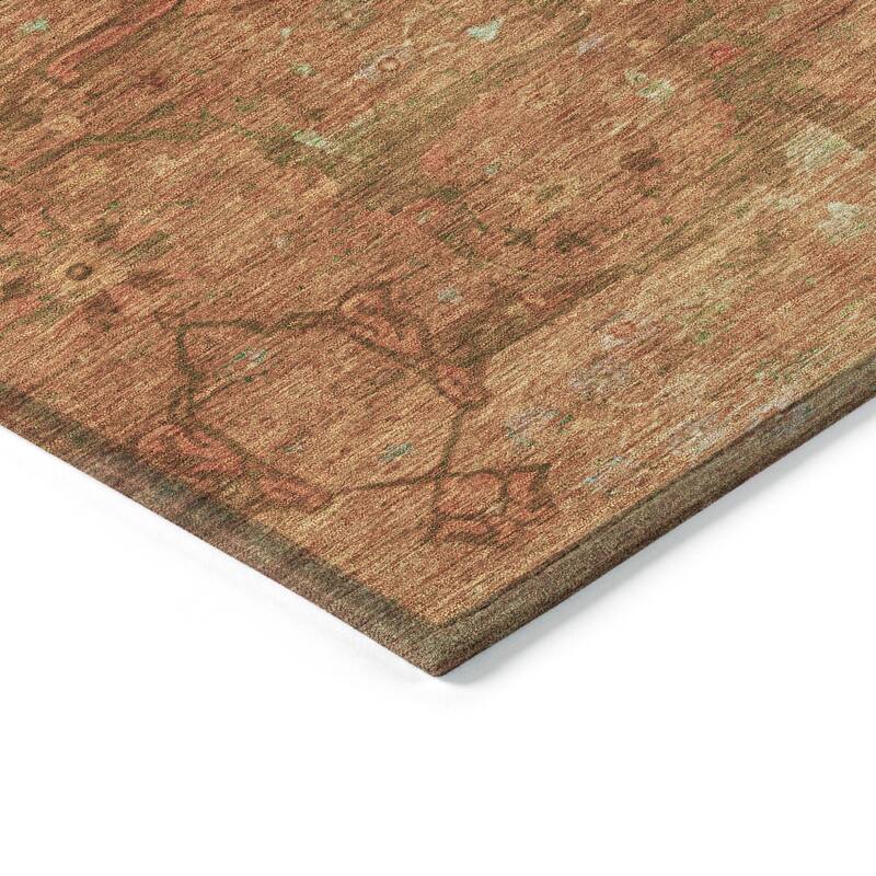 Machine Washable Indoor/ Outdoor Boho Global Chantille Rug