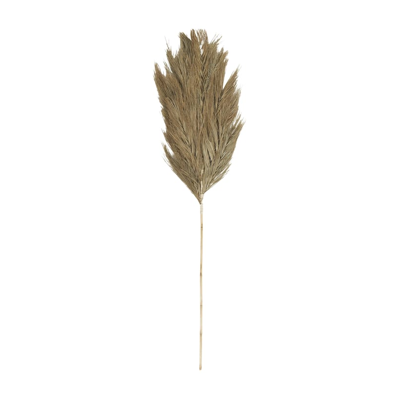 Dried Plant Palm Leaf Tall Home Decor Natural Foliage with Grass - Brown - Roche River Decor - Brown