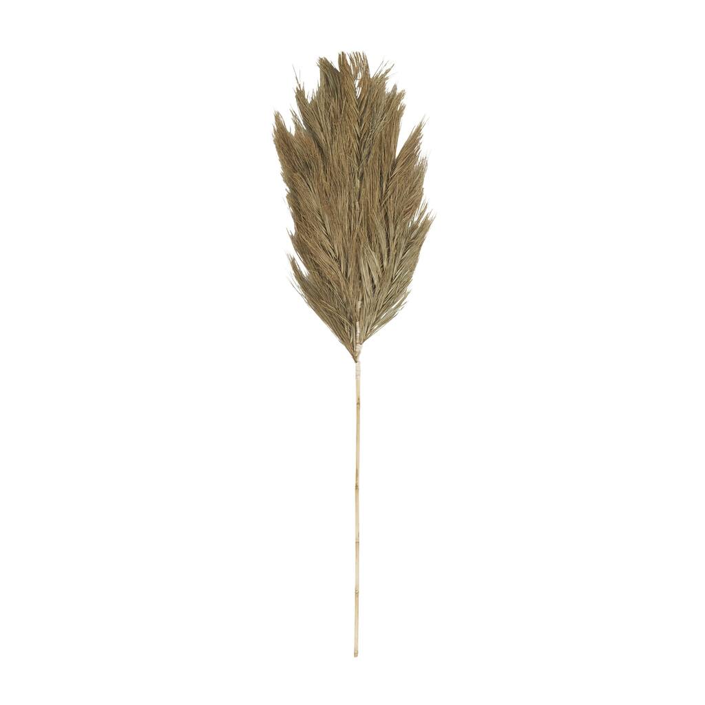Dried Plant Palm Leaf Tall Home Decor Natural Foliage with Grass - Brown - Roche River Decor