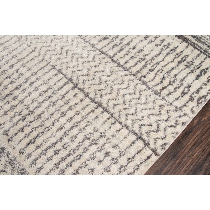 Momeni Lima Polyester Blend Contemporary Area Rug