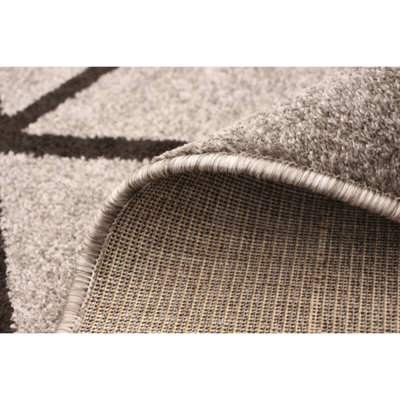 ECARPETGALLERY Ana Transitional Rug