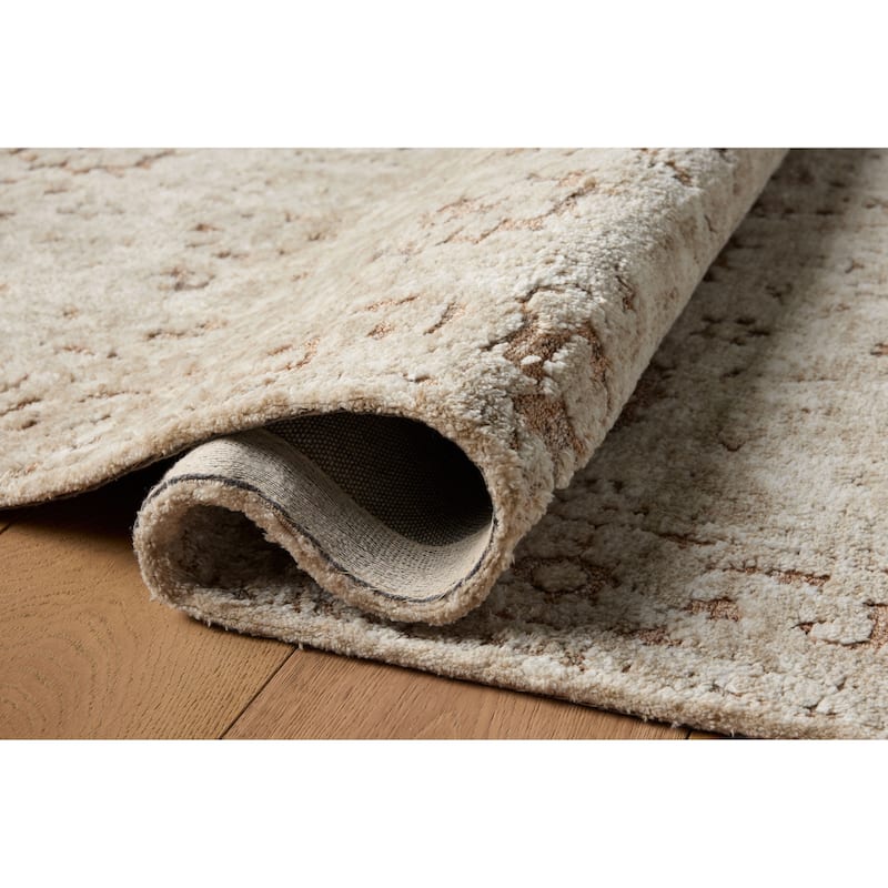 Alexander Home Paxen Traditional Area Rug