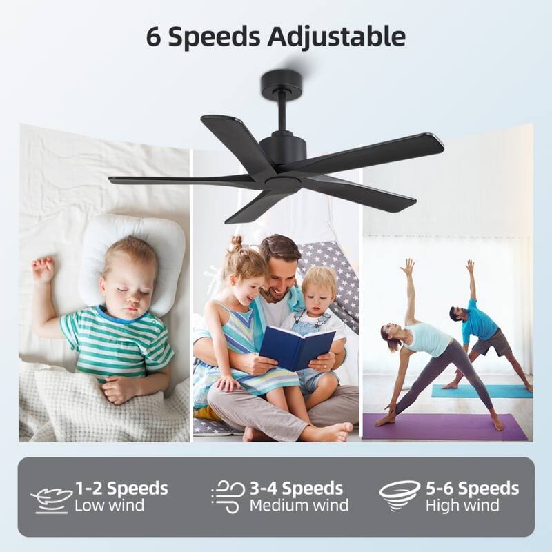 MLiAN 48in 5-Blade Indoor Ceiling Fan with Remote