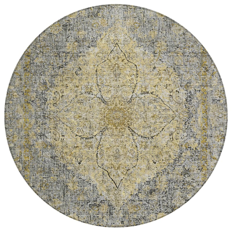 Machine Washable Indoor/Outdoor Traditional Global Chantille Rug