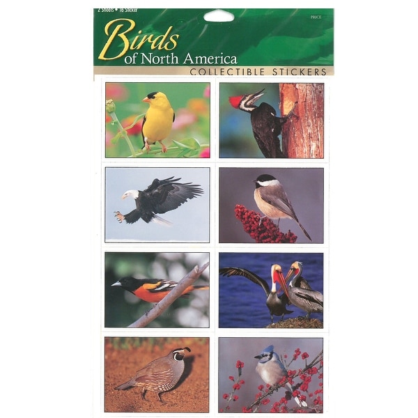 9" Multi-Color Sticker Sheet Birds from North America - N/A