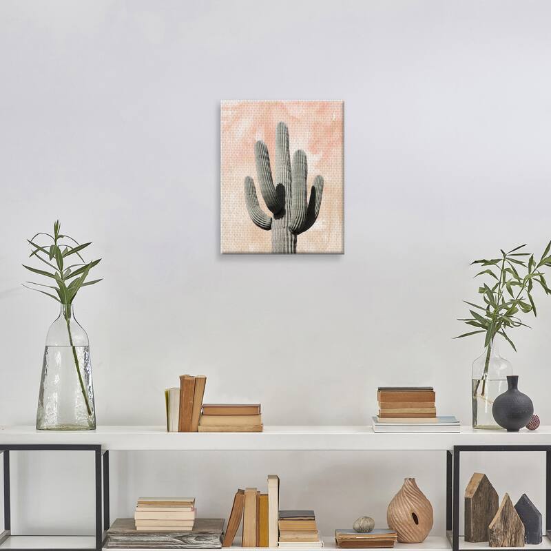 Desert Wash Coral II Canvas Art Print