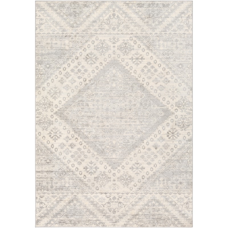 Janette Distressed Nomad Area Rug