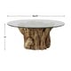 preview thumbnail 2 of 1, Uttermost Driftwood Glass Top Large Coffee Table - 43 W X 17 H X 43 D (in)
