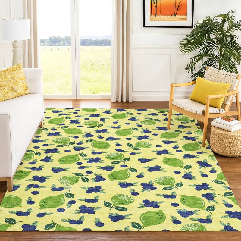 Machine Washable Indoor/ Outdoor Citrus Berry Chantille Rug