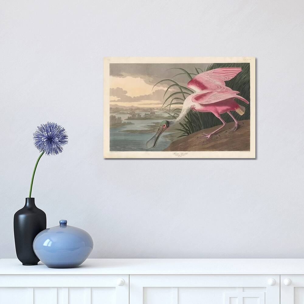 iCanvas "Roseate Spoonbill, 1836" by John James Audubon Canvas Print