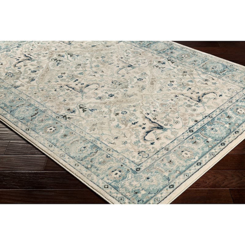Annelie Teal & Grey Updated Traditional Area Rug - 3' x 5'