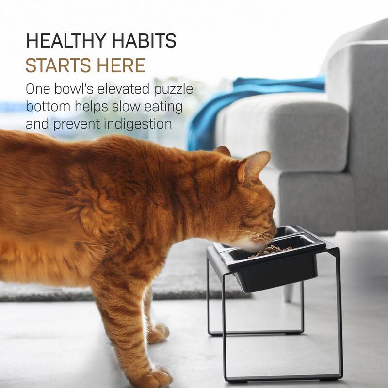 Yamazaki Home Slow Feeder Pet Bowl, Steel and Ceramic, 0.75 cups, 180 ml - L 6.1 x W 11.42 x H 6.93 inches