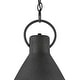 preview thumbnail 4 of 4, Hinkley Winnie 1-Light Pendant in Aged Zinc