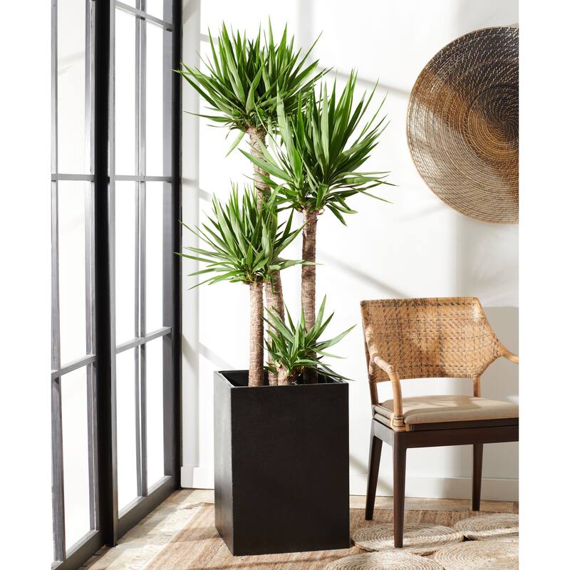 SAFAVIEH Outdoor Anahi Black Planter - 17Wx17Dx24H - Black