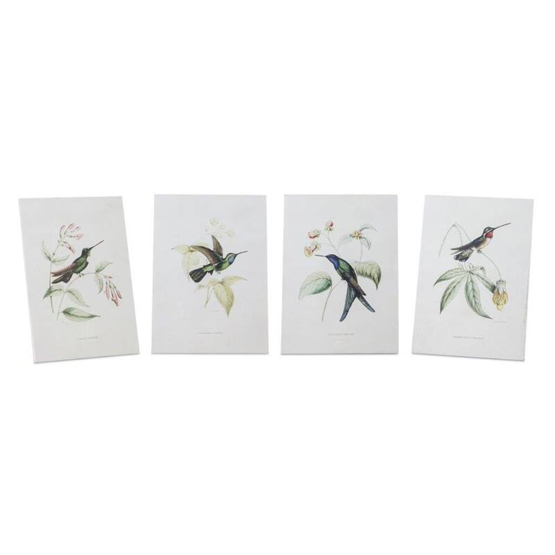 Hummingbird Bird Framed Prints - 8" x 5.5" - Set of 4