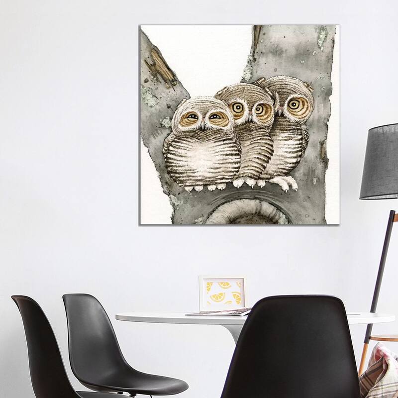 iCanvas "Three Owls" by Tracy Lizotte Canvas Print - 37x37x1.5