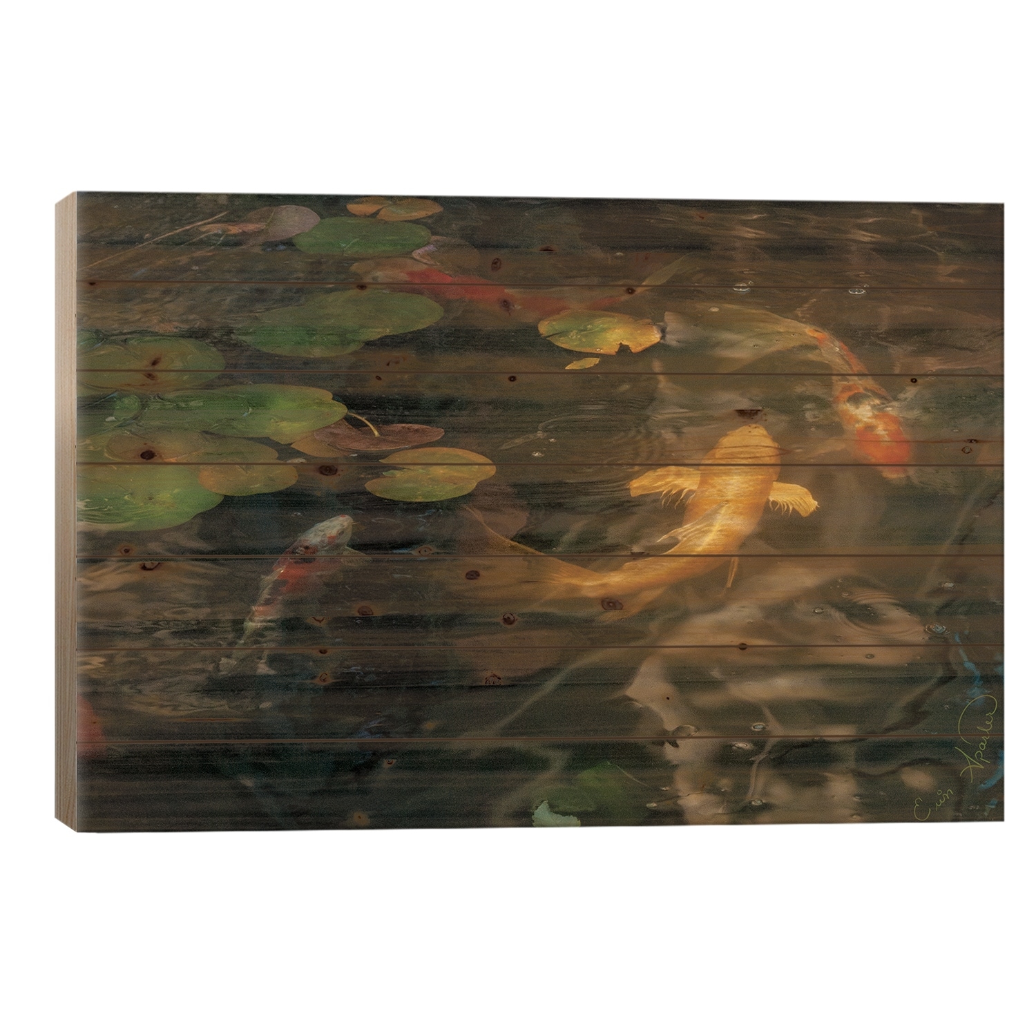 Gold And Calico Koi Print On Wood by Erin Sparler - Multi-Color