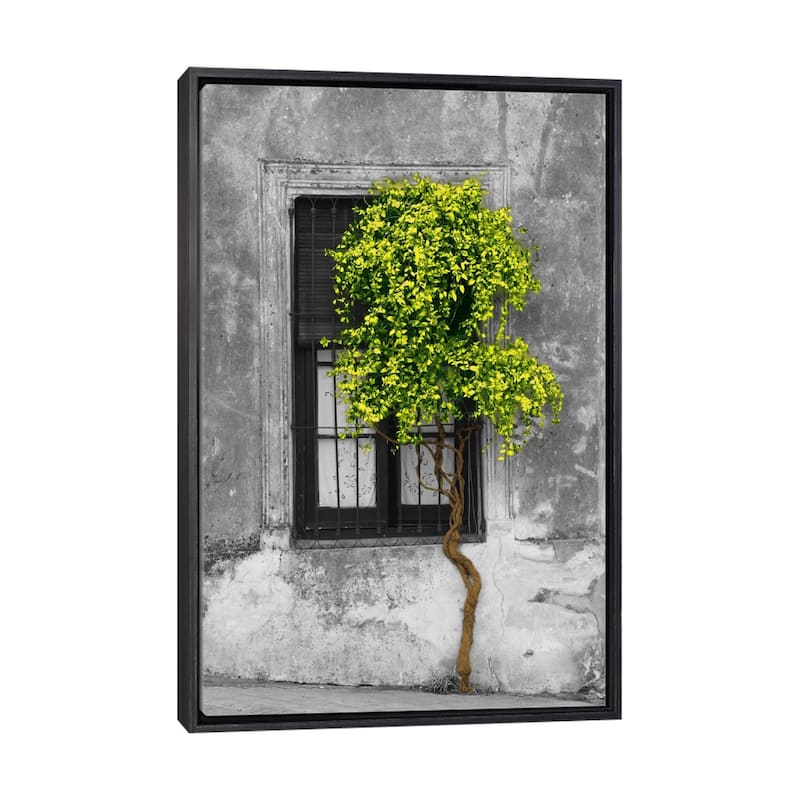 Large Wall Art, Framed Art, Modern Art, Plants, Botanical, by Panoramic Images - Ebony