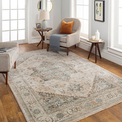 Artistic Weavers Remyr Vintage Distressed Area Rug