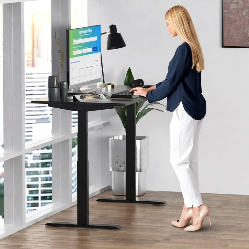 Rise Up Electric Standing Desk Dual Motor 60x30 solid bamboo desktop