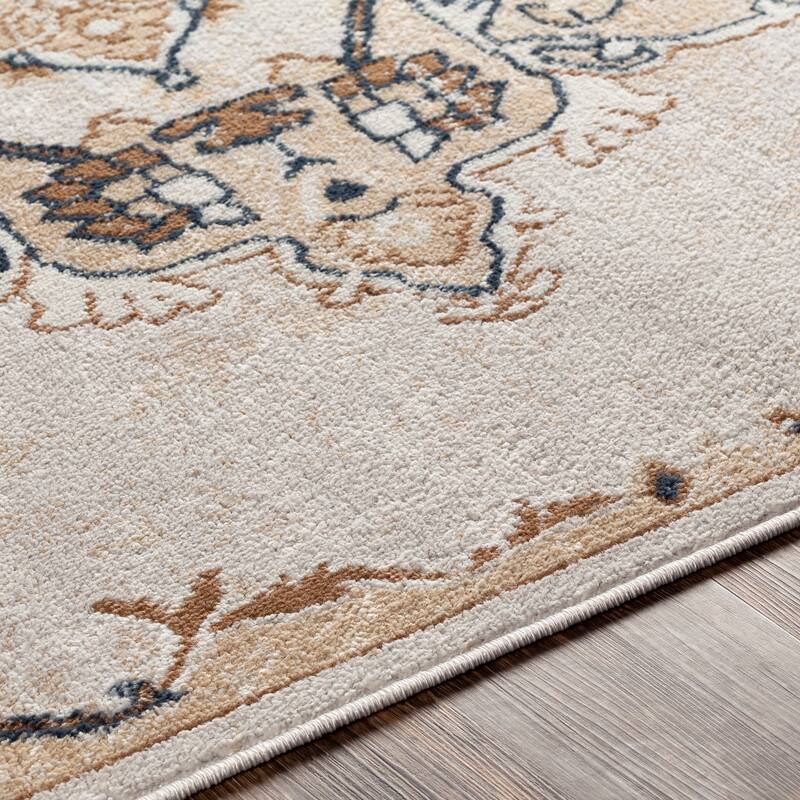 Moesha Traditional Medallion Area Rug