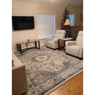 Safavieh Evoke Annabel Vintage Shabby Chic Oriental Rug