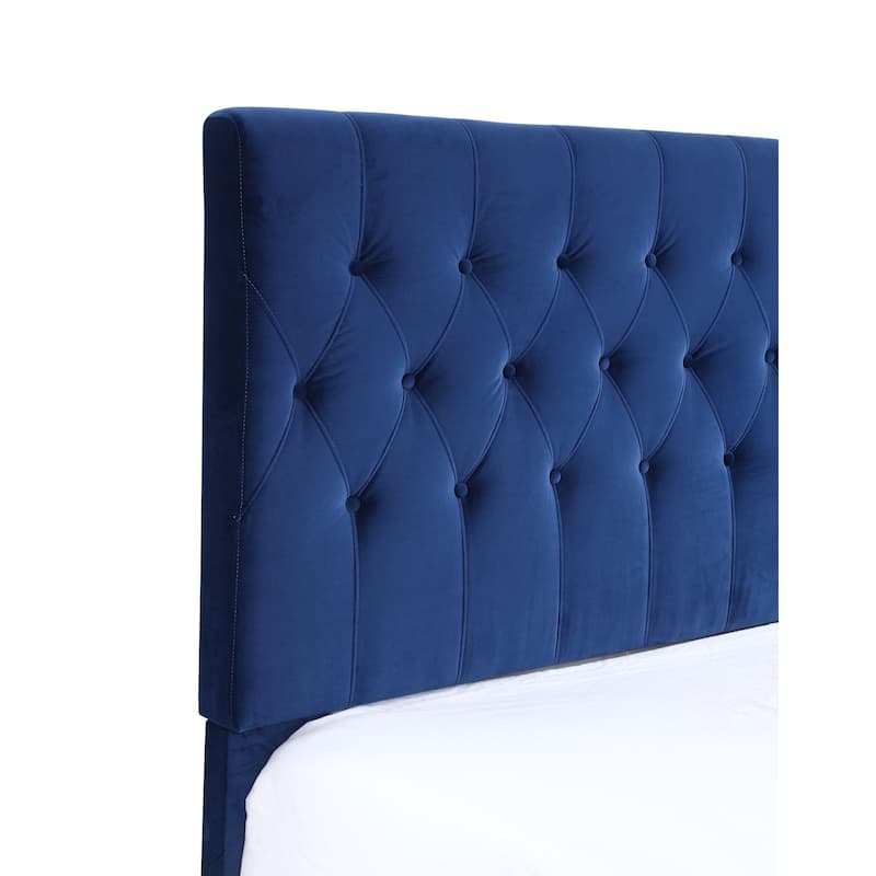 Navy Blue Queen Size Upholstered Bed Frame in Transitional Style with Elegant Design