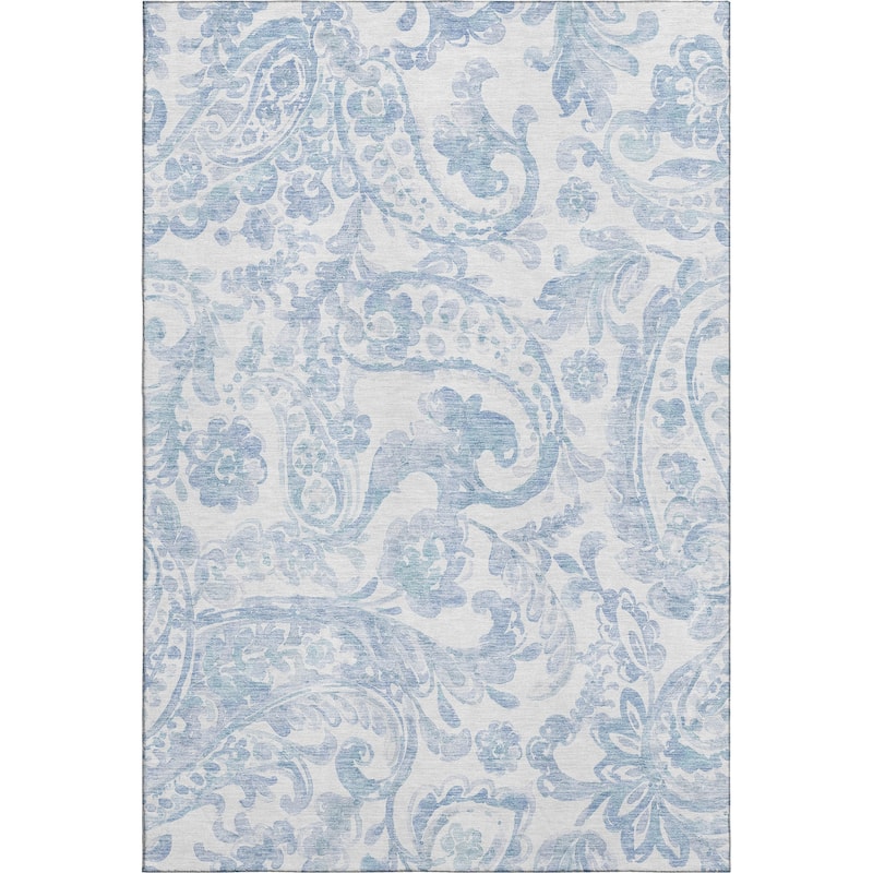 Premium Washable Super Soft Modern Paisley Mayfield Rug