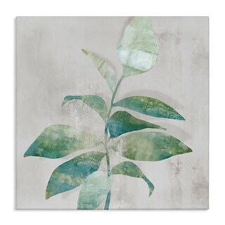 Stupell Minimal Bloom Rustic Accent Canvas Wall Art Design By Alex ...