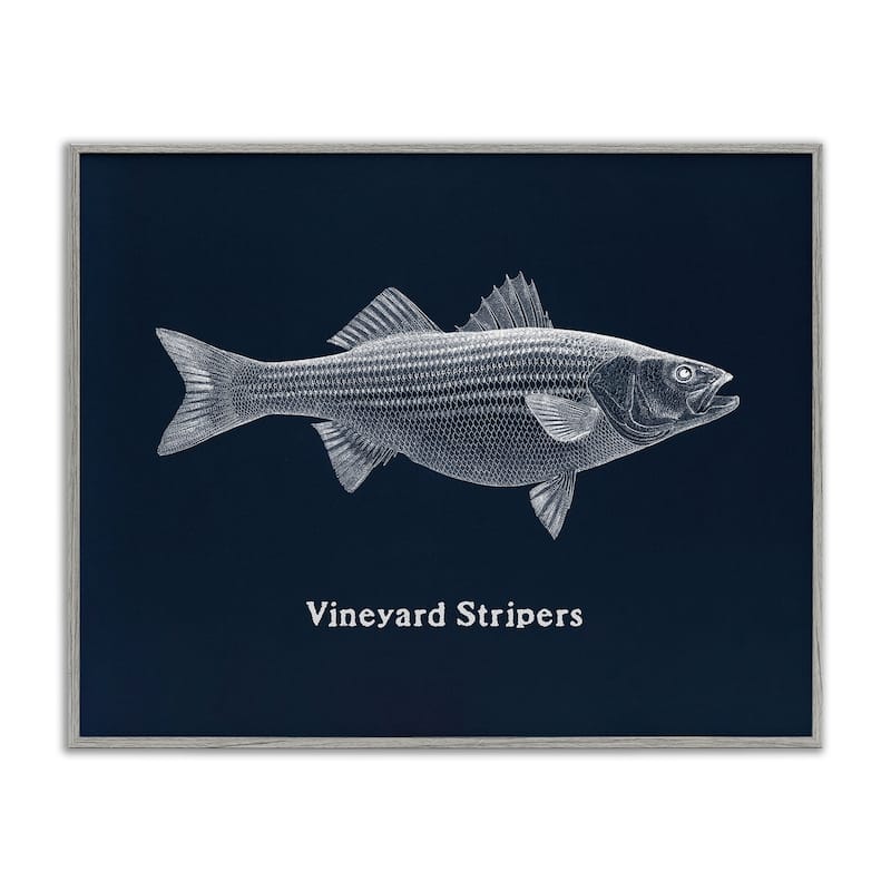 Stupell Vineyard Stripers Fish Framed Giclee Art Design By Phillipa Katz - 20 x 16 - Grey
