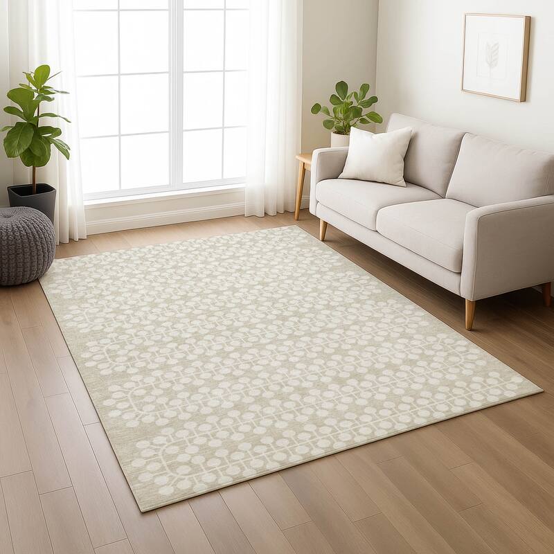Machine Washable Indoor/ Outdoor Modern Ailey Chantille Rug
