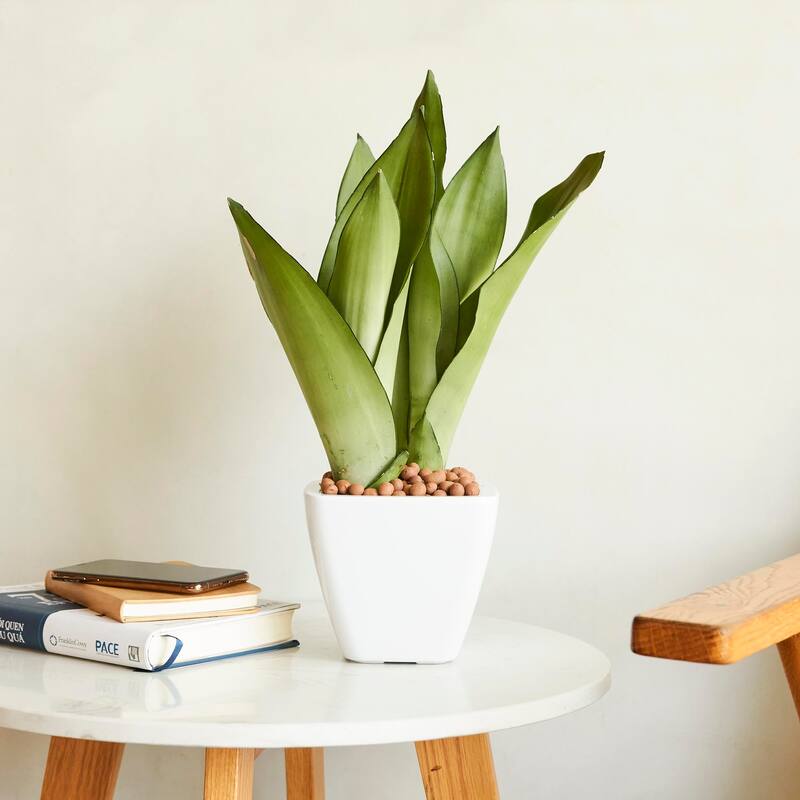 2-Pack Smart Self-watering Square Cone Planter Pot