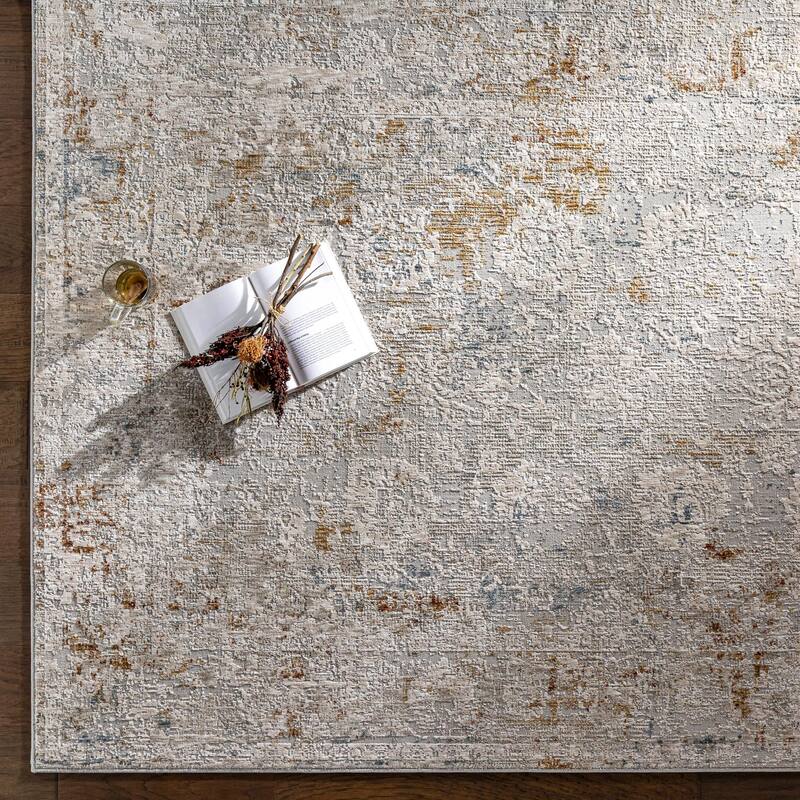 Chadwick Vintage Border Area Rug